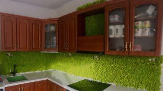 Озеленение кухни мхом