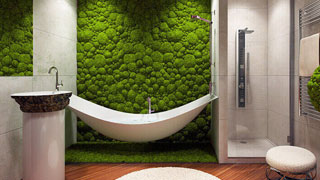 Озеленение санузла и ванной мхом